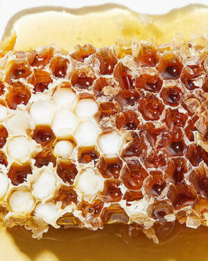 COSRX-Full-Fit-Propolis-Cream-3BONIIK-Best-Korean-Beauty-Skincare-Makeup-in-Australia_2d14aca5-551d-438c-a97a-0fea863ba711